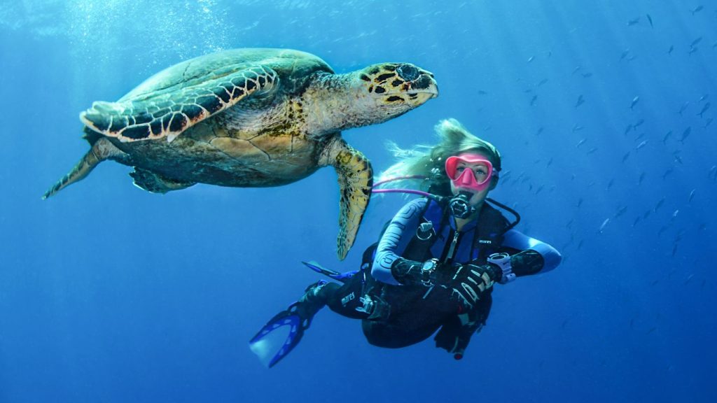 ¿Es seguro bucear en el Mar Rojo?