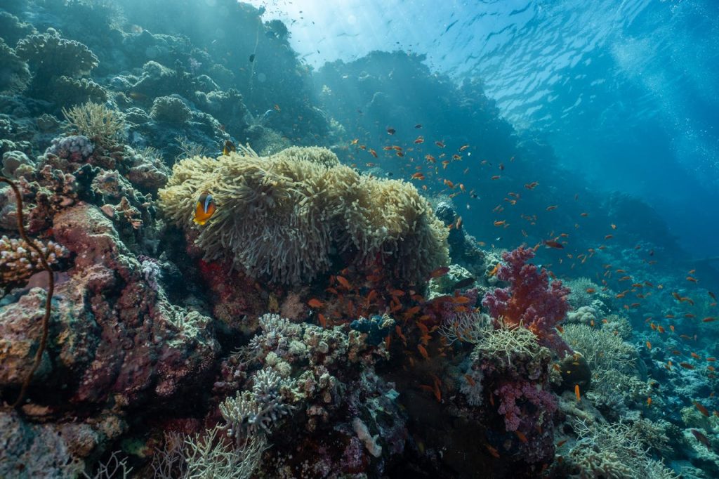 Dahab
