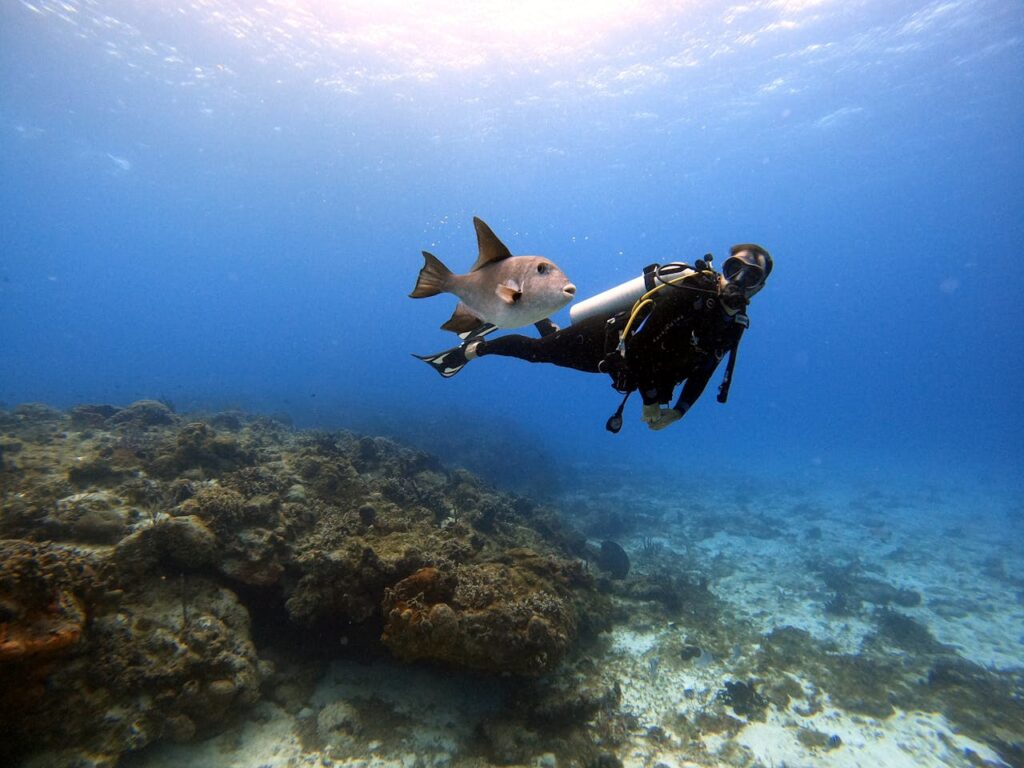 Cómo convertirse en un gran compañero de buceo